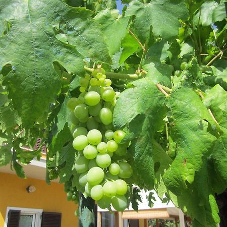 Willa Agriturismo La Carlina Magliano in Toscana Zewnętrze zdjęcie