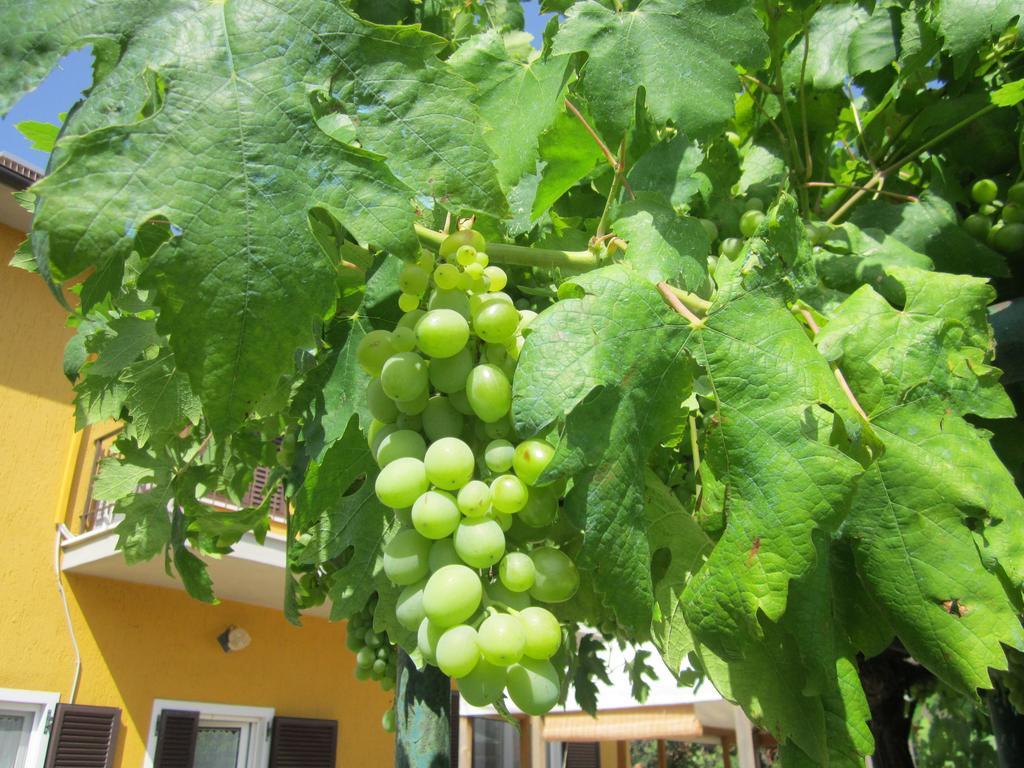 Willa Agriturismo La Carlina Magliano in Toscana Zewnętrze zdjęcie