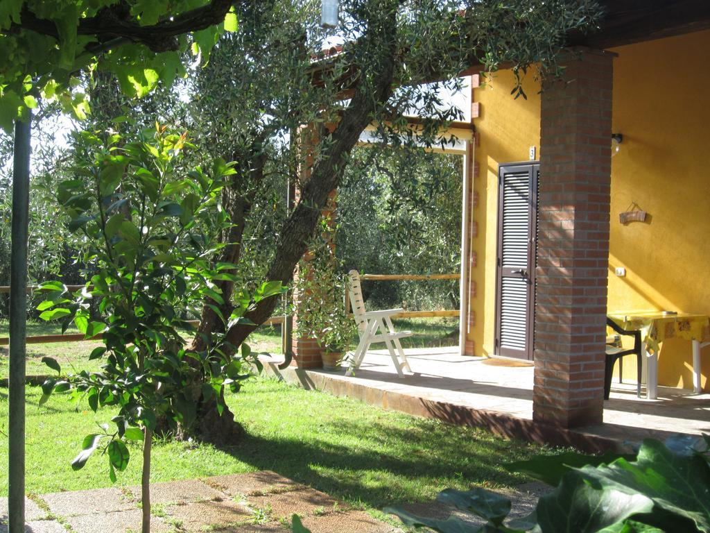 Willa Agriturismo La Carlina Magliano in Toscana Pokój zdjęcie